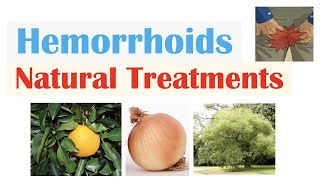 How To Treat Hemorrhoids  9 Natural Treatments Plant Flavonoids for Hemorrhoidal Disease [upl. by Glennie826]