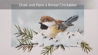 How to draw and paint a Chickadee Dry brush watercolour and Ink techniques Peter Sheeler [upl. by Ursal328]