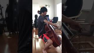 Game of Thrones 2Cellos cover [upl. by Enidanreb]