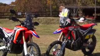 2017 Honda CRF250 RALLY WEBミスター・バイク [upl. by Halak]