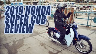 2019 Honda Super Cub Review [upl. by Eerac217]