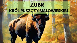 Żubr Największy ssak lądowy Europy [upl. by Lorrac]