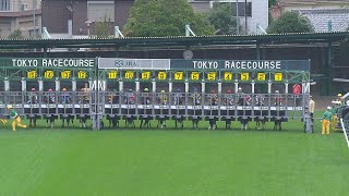 2024 TENNO SHO Autumn G1  JRA Official [upl. by Naujat67]