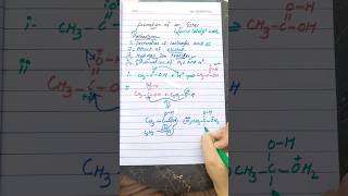 Mechanism of formation of ester organic chemistry class 12 [upl. by Karb51]