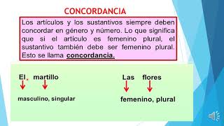 CONCORDANCIA ENTRE EL ARTICULO Y EL SUSTANTIVO [upl. by Tarsus]