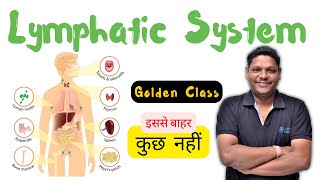 🚨 Lymphatic System Anatomy amp Physiology  BSc Nursing  B Pharm  Free Online Class  Bhushan [upl. by Markland]