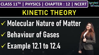 Class 11th Physics  Molecular Nature of Matter  Behaviour of Gases  Example 121 to 124 [upl. by Nennahs573]