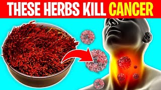 8 Powerful Herbs That Prevent And Kill Cancer [upl. by Kliber]