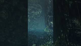 Coral Highlands  Area 12  Cave Pond  Ambience of Monster Hunter World [upl. by Eniamurt899]