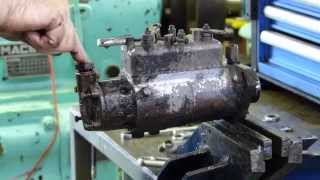 CAV Injection pump full strip down to re seal and stop fuel leaks [upl. by Dinah]