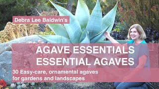 Agave Essentials 30 easycare ornamental agaves for gardens and landscapes [upl. by Aikcin181]