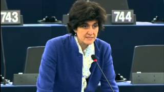 Sylvie GOULARD 16 Jan 2014 plenary speech on EU homelessness strategy [upl. by Eitra]