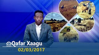 Qafar Xaagu 02032017  TigraiTelevision [upl. by Keiko989]