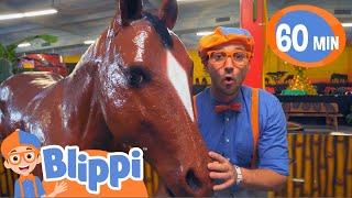 Blippi Explores Jungle Animals  Kids Fun amp Educational Cartoons  Moonbug Play and Learn [upl. by Jodee]