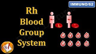 Rh Blood Group System FLImmuno62 [upl. by Leinto]