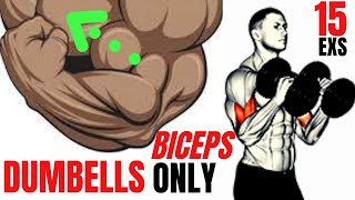 15 BEST BICEPS EXERCISES AT HOME WITH DUMBELLS ONLY  SUPER EXERCISES MUSCULATION BICEPS HALTERES [upl. by Olimac]