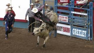 2016 Greeley Stampede PRCA Xtreme Bulls Highlights [upl. by Drawde]