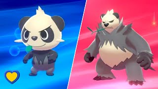 HOW TO Evolve Pancham into Pangoro in Pokémon Sword and Shield [upl. by Reinar]