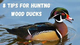 8 Tips For Wood Duck Hunting [upl. by Anaya102]