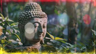 Buddhist Enlightment Meditation soundscape  Forest atmospheric music for relaxation 🧘🏻🌿peaceful [upl. by Aynav196]