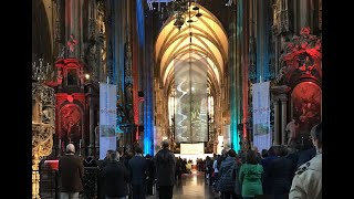 Tag der ReligionslehrerInnen im Stephansdom [upl. by Pillihpnhoj460]