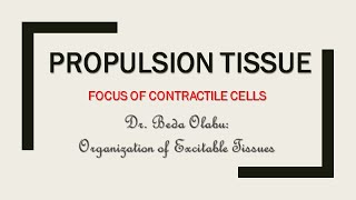 PROPULSION TISSUE ORGANIZATION [upl. by Margi]