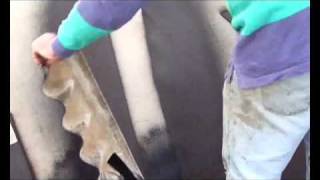 Liquid Rubber Spray Application Demo [upl. by Moya]