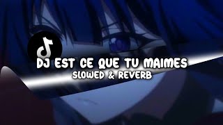 DJ EST CE QUE TU MAIMES Slowed amp Reverb [upl. by Mariann]