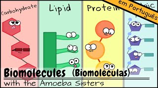 Biomoléculas [upl. by Nnylak]