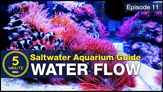 How to choose powerheads and get flow right the first time Saltwater Aquarium Flow [upl. by Hunt]