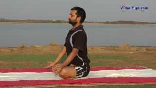 Yoga for Paralysis [upl. by Syman]