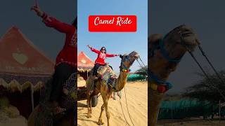 Camel Ride Jaipur viralvideo jaipurlove camelridsong travelshorts [upl. by Canning]