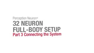 32 Neuron Full Body Setup Part 3  Connecting the System [upl. by Anibur]