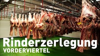 Rinderzerlegung  Teil 1 Vorderviertel [upl. by Eisseb]