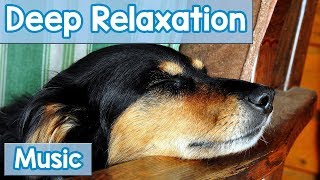 15 Hours of Deep Relaxation Music for Dogs Music to Relax Your Dog Completely and Help with Sleep [upl. by Ecnarrat]