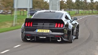 BEST OF FORD MUSTANG SOUNDS Shelby GT500 Alphamale Widebody GT350 RTR Widebody Royal Crimson GT [upl. by Box370]