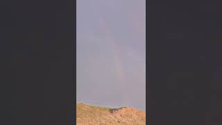 Rainbow in the sky poetry pashtopoetryn line newbestpashtopoetry pashtopeotry pashtopoetry [upl. by Agan]