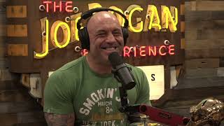 Joe Rogan Experience 1945  Eric Weinstein [upl. by Noma122]