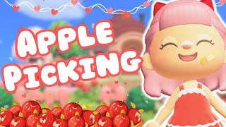 VALENTINES FAIRY CORE TOWN CORE ISLAND  ACNH FRUIT ORCHARD BUILD  ANIMAL CROSSING NEW HORIZONS [upl. by Harriett200]