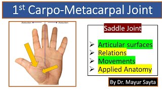 First carpometacarpal joint [upl. by Fernas]