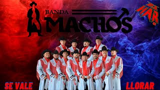 BANDA MACHOS PURAS RANCHERITAS LLEGADORAS Y SE VALE LLORAR SOLO EXITOS [upl. by Timus]