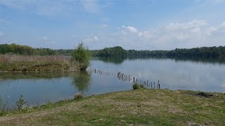 Freiburg Landwasser Opfinger See Mai 2017 Luftbilder in 4K [upl. by Arahset]