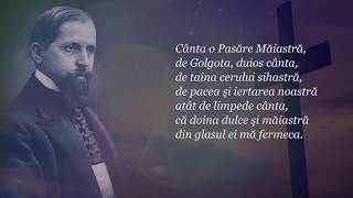 Cânta o Pasăre Măiastră  Andrei Sălăjan  Oastea Domnului 2018 [upl. by Nalac]