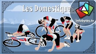 The Tour De France Explained in Animation [upl. by Htepsle]