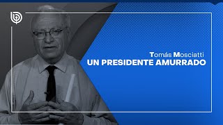 Comentario de Tomás Mosciatti Un presidente amurrado [upl. by Jorie340]