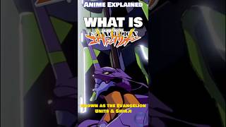 WHAT IS Neon Genesis Evangelion  Anime Explained For Everyone [upl. by Solahcin]