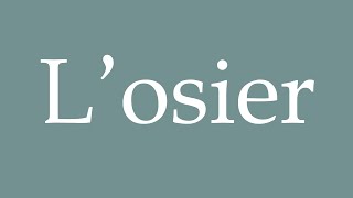 How to Pronounce Losier Correctly in French [upl. by Echikson]