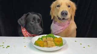 Unbelievable Dogs CAN eat VEGESTABLES  Diet Food for Golden amp Labrador Dogs Part 4 [upl. by Eramal]