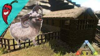 Making a Rustic Ovis Sheep Farm Build  Ark The Island Gameplay Ep23 [upl. by Mialliw]