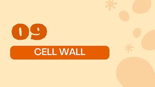 STPM BIOLOGY SEM 1 CHAPTER 2  ORGANELLES  PLANT CELL WALL  STRUCTURE amp FUNCTION  PLANT CELL [upl. by Salokcin]